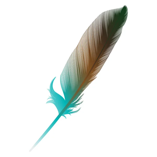 Vector Illustration Bird Feather Icon — Stockvector