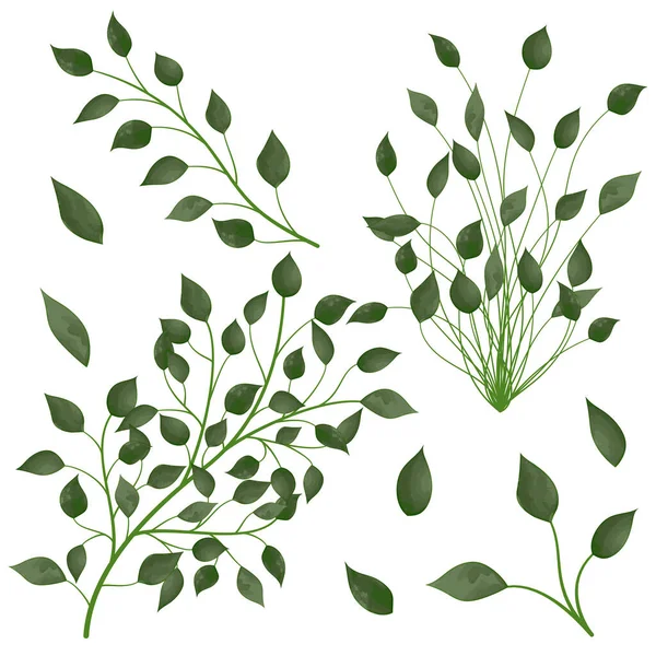 Beautiful Botanical Pattern Illustration — 스톡 벡터