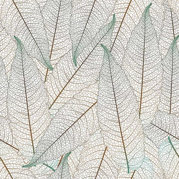 枯树的叶子 在白色背景上隔离 — 图库矢量图片