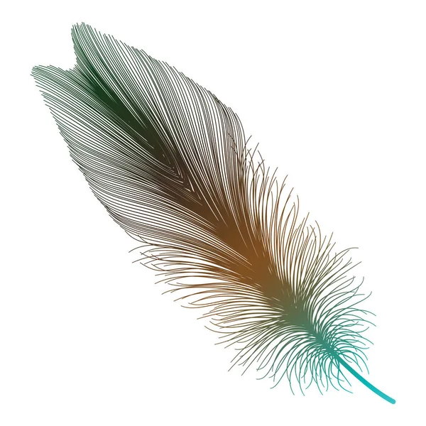 Feather Isolated White Vector Illustration — Stockvector