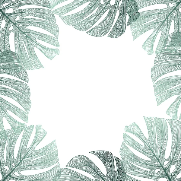 Hojas Tropicales Monstera Hoja Palma Ilustración Vectorial — Vector de stock