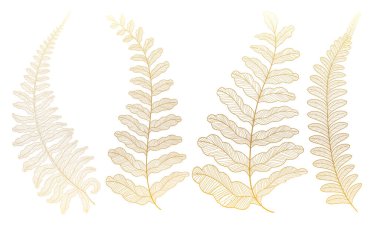 Bir dizi el çizimi yaprağının vektör çizimi.