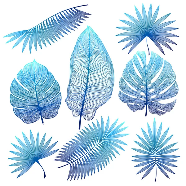 Set Tropical Leaves Vector Illustration — Stock Vector