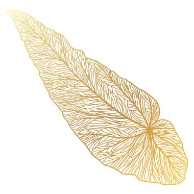 Yaprak simgesi. El çizimi vektör illüstrasyonu.