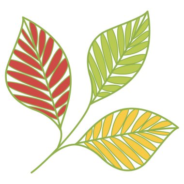 tropikal yapraklar ve yapraklar izole edilmiş ikon vektör illüstrasyon tasarımı