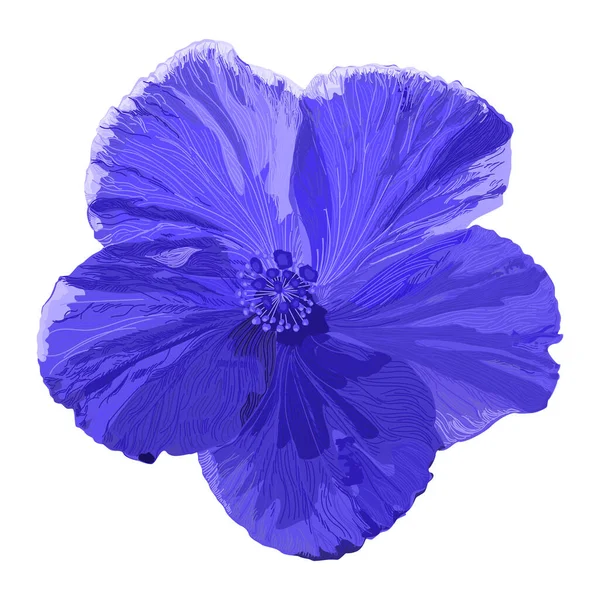 Flor Azul Aislada Sobre Fondo Blanco — Vector de stock