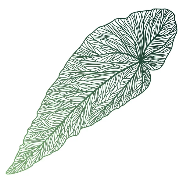 Vector Illustration Hand Drawn Sketch Leaf — Stock vektor
