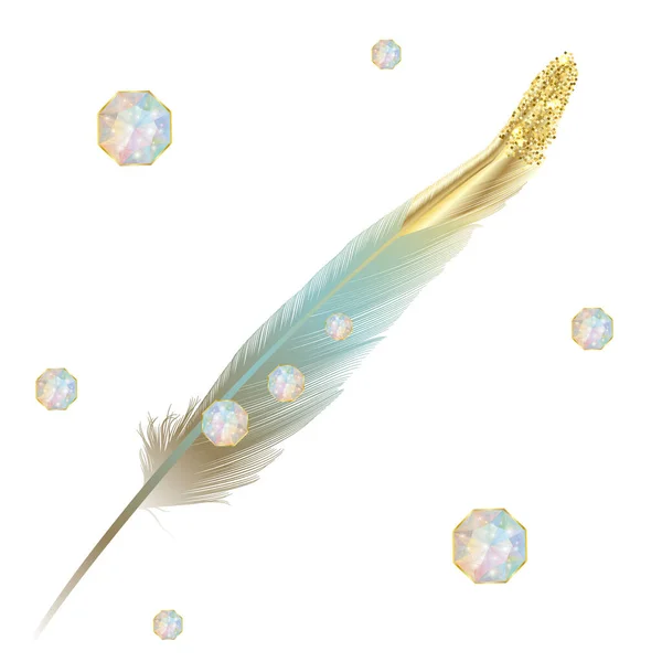 Illustration Feather Feathers — Stockvektor