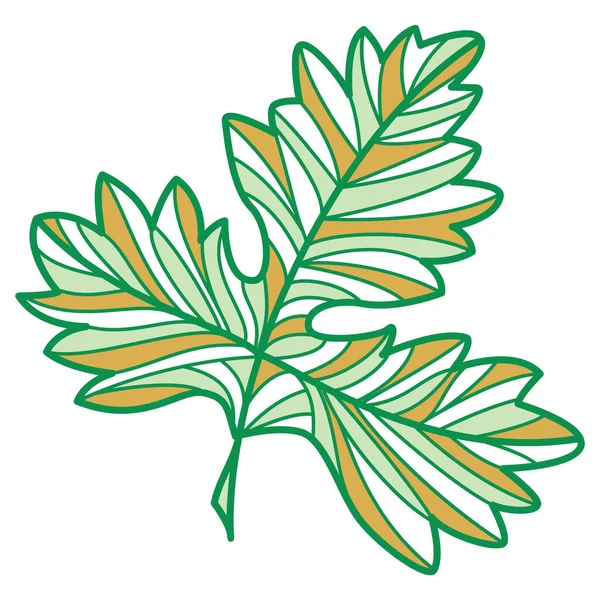 Illustration Vectorielle Une Feuille Florale Verte Blanche — Image vectorielle
