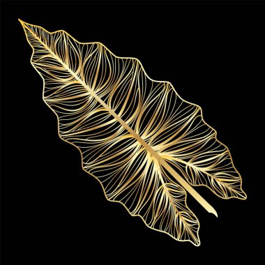 Tropikal yaprak palmiyesi izole. Vektör illüstrasyonu.