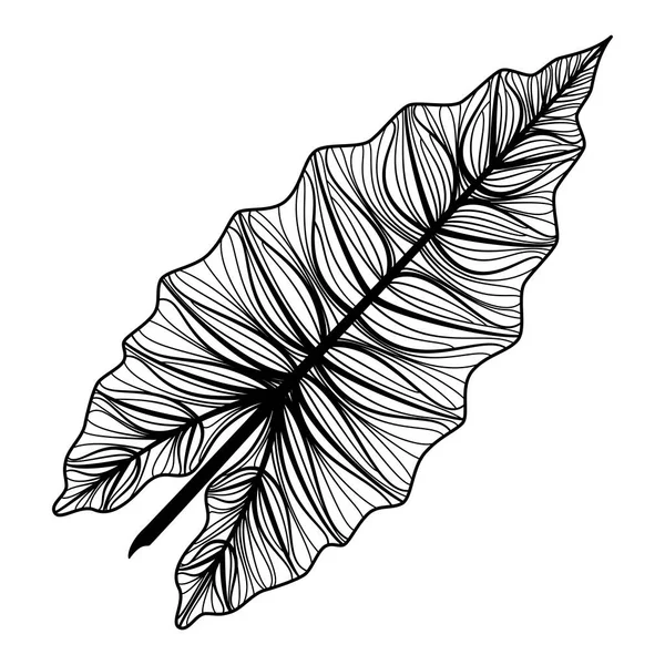 Black Ink Sketch Exotic Leaves Vector Illustration — Stockový vektor