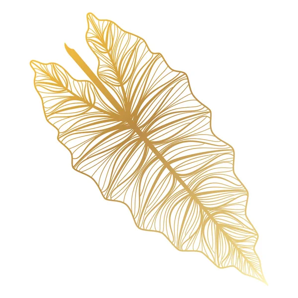 Illustration Vectorielle Avec Motif Feuille Feuilles Tropicales Élément Botanique Dessiné — Image vectorielle