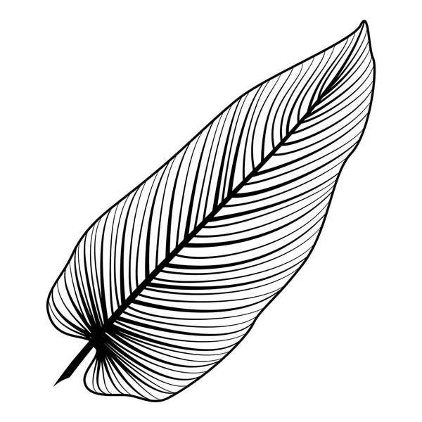 Black Tropical Leaves Sketch Vector Illustration — ストックベクタ