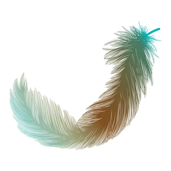 Vector Illustration Bird Feather White Background — 스톡 벡터