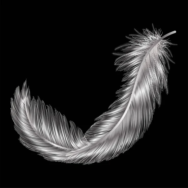 Plume Isolée Sur Fond Noir — Image vectorielle