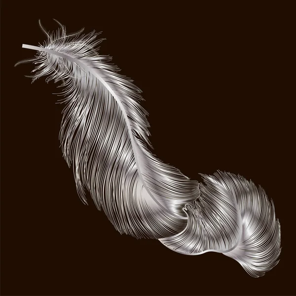 Feather Feathers Isolated Black Background — ストックベクタ