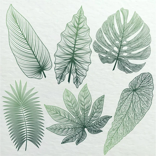 Tropical Leaves Botanical Illustration Hand Drawn — Stock Vector