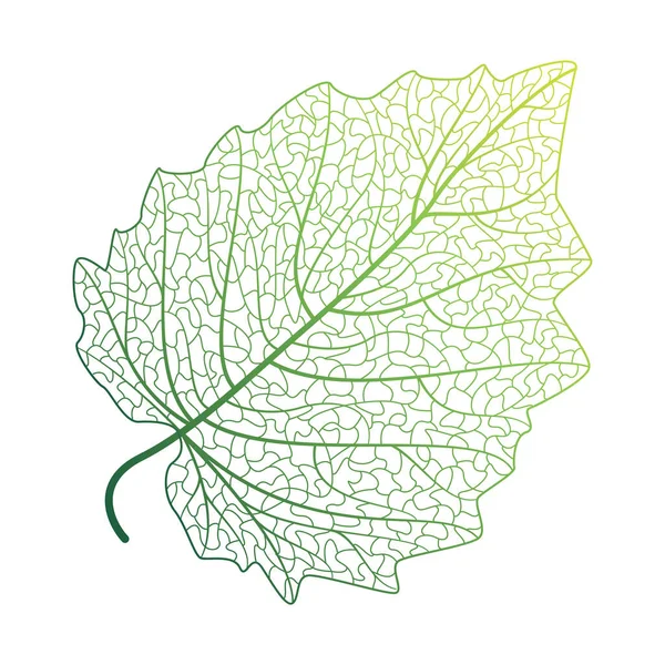Зелений Лист Ізольований Білому Тлі Векторна Ілюстрація — стоковий вектор