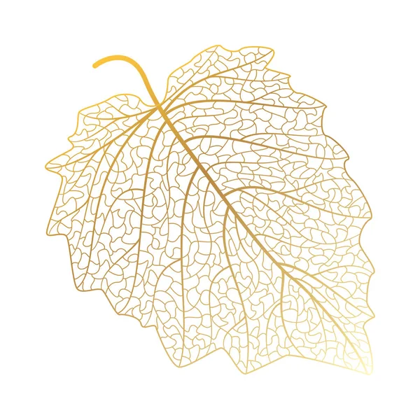 Vector Illustration Leaf Tree — Stock vektor