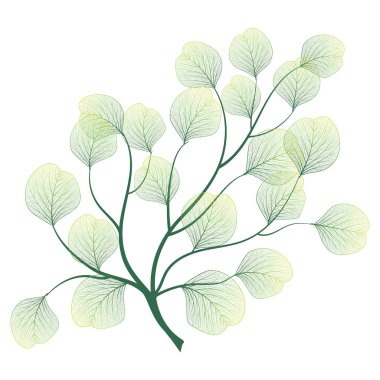 Yeşil yaprakların vektör illüstrasyonu.