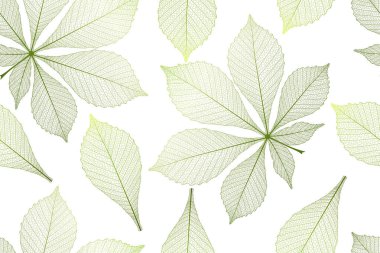 Beyaz arkaplanda yeşil yapraklı pürüzsüz desen