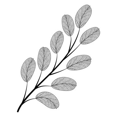 Bir ağacın dalının vektör illüstrasyonu.