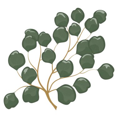 vector illustration of green leaves isolated on white background