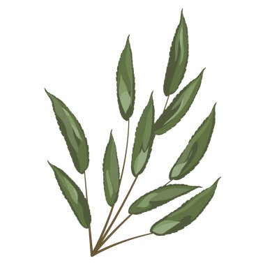 Yeşil yaprakların vektör illüstrasyonu.