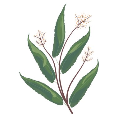 Yeşil yaprakların bir dalının vektör çizimi.