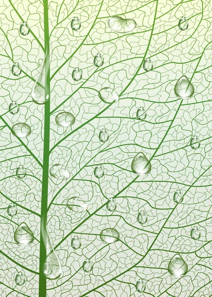 Πράσινη Υφή Φύλλου Φόντο — Διανυσματικό Αρχείο