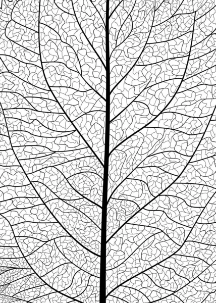 Black White Vector Illustration Tree Pattern — Wektor stockowy