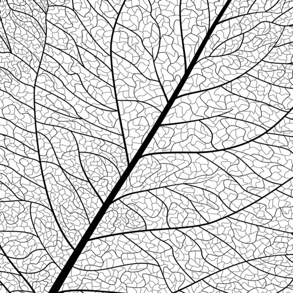 Black White Vector Illustration Tree Pattern — Stockvektor