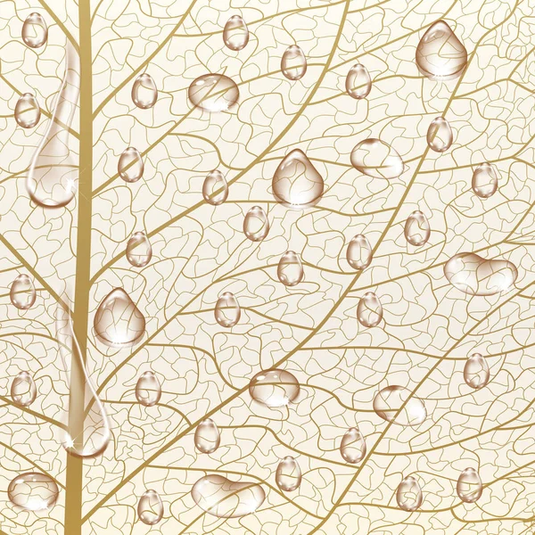 Feuilles Automne Sur Fond Blanc — Image vectorielle