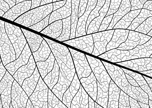 Vector Illustration Tree Pattern — Image vectorielle