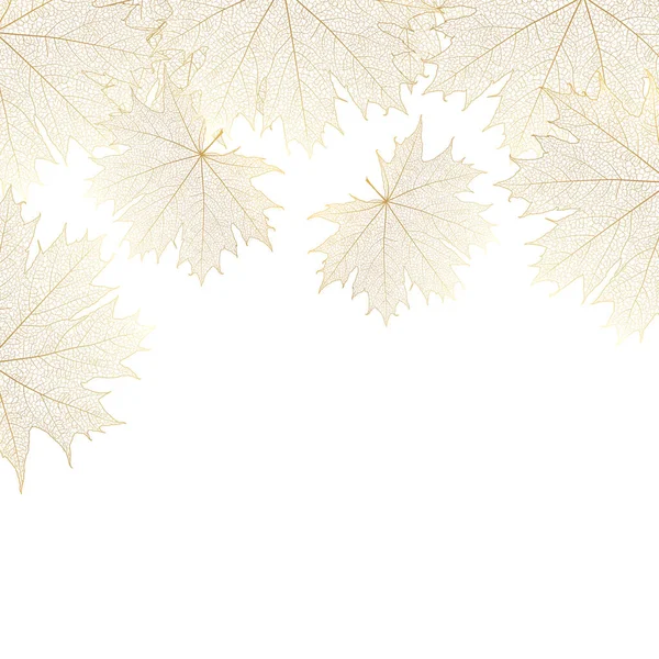 白色背景的秋天叶子 — 图库矢量图片