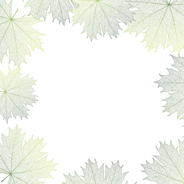 Herbst Blätter Auf Weißem Hintergrund — Stockvektor