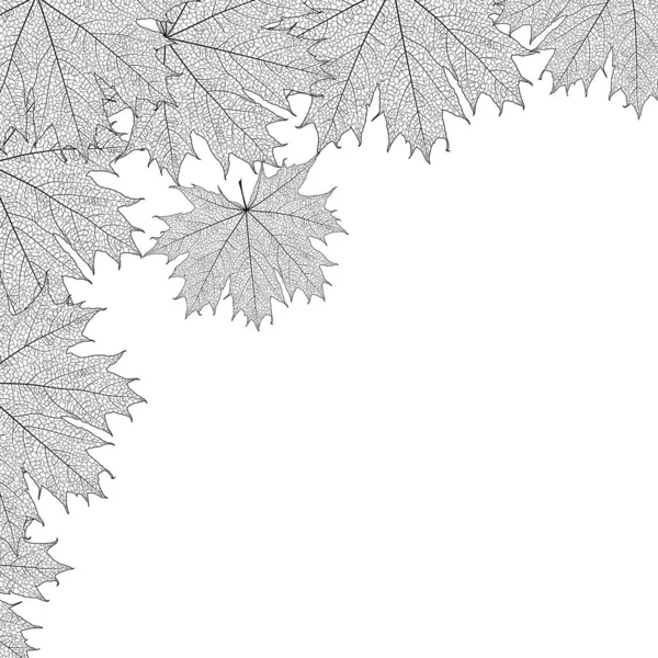 秋天的叶子 背景为白色 — 图库矢量图片