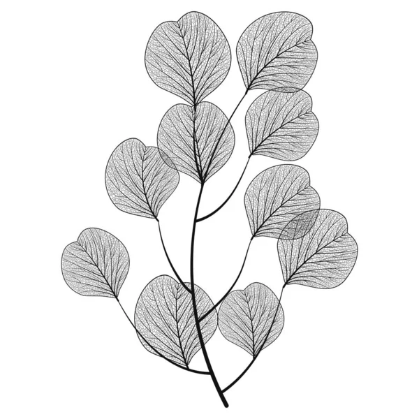 Vektorillustration Von Pflanzenblättern — Stockvektor