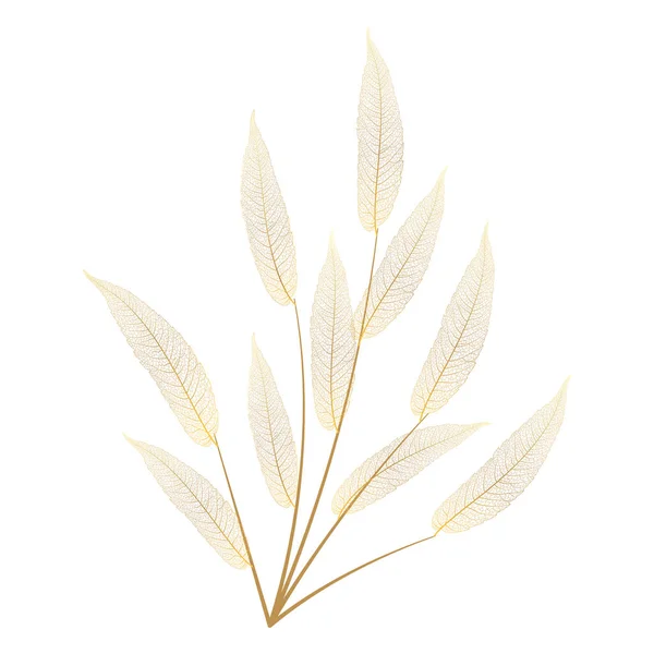 Watercolor Illustration Leaf Plant Isolated White Background — Stockvektor