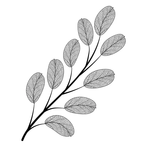 Векторна Ілюстрація Гілки Дерева — стоковий вектор