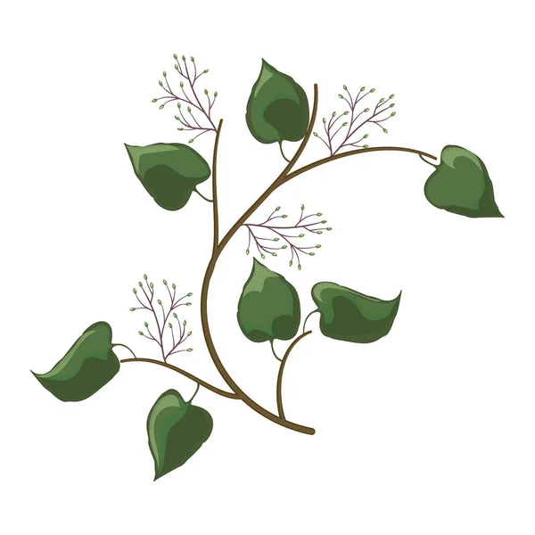 Leaves Tree Branches Vector Illustration Design — Stok Vektör