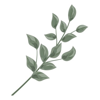 Bir bitkinin yeşil yaprakları. vektör illüstrasyonu