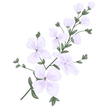 Güzel pembe çiçeklerin suluboya çizimi