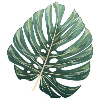 Beyaz arka planda izole tropikal yapraklar. vektör illüstrasyonu