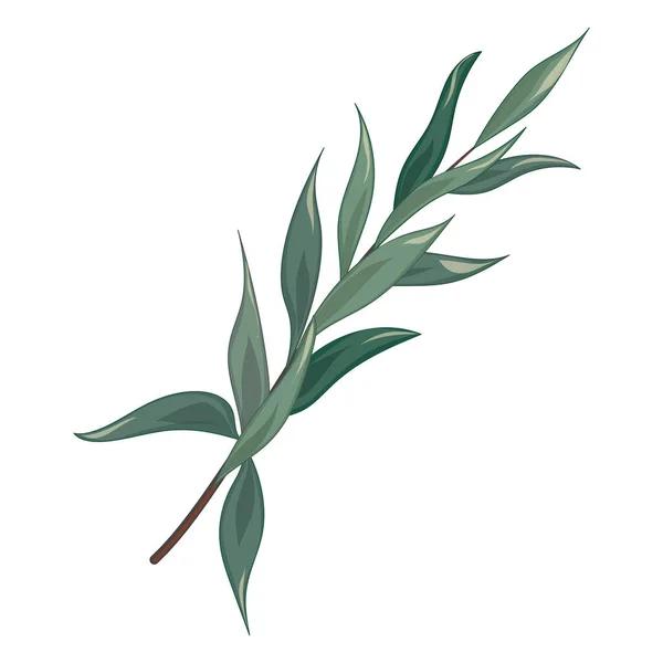 Vector Illustration Green White Plants — ストックベクタ