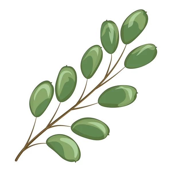 Green Leaves Plant Isolated Icon Vector Illustration Design — Stok Vektör