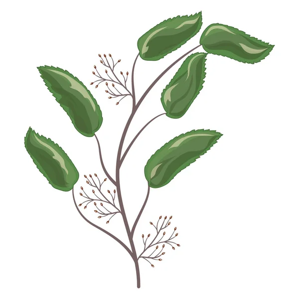 Vector Illustration Green White Hand Drawn Leaves — Stok Vektör