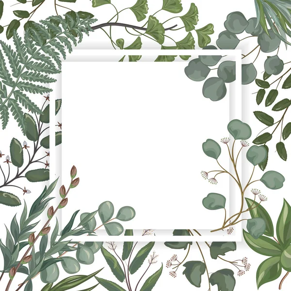 Frame Green Leaves Branches Eucalyptus Vector Illustration — Image vectorielle