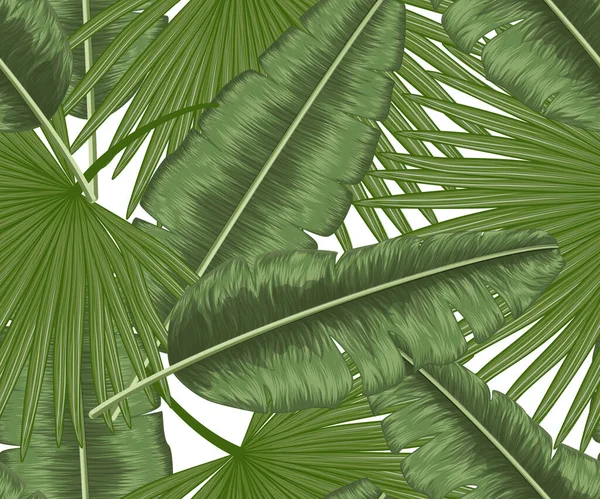 Hojas Tropicales Sobre Fondo Blanco — Vector de stock