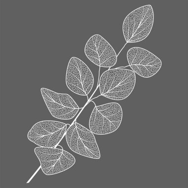 Tasarım için bir arkaplanın vektör illüstrasyonu